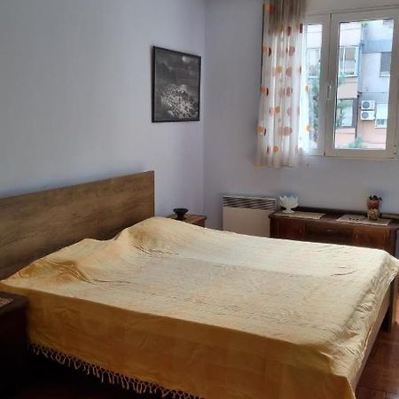 Apartment Z Podgoriçe Dış mekan fotoğraf